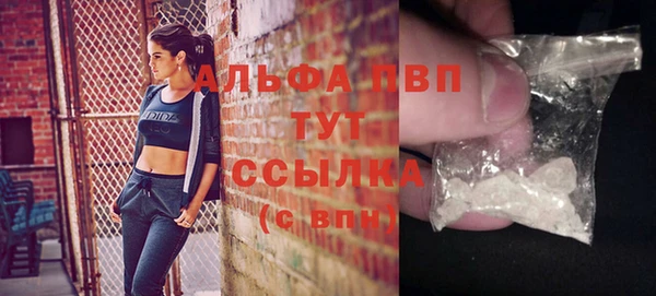 тгк Володарск