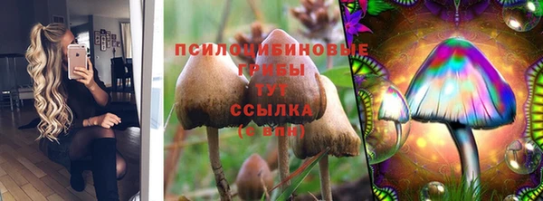 спайс Липки