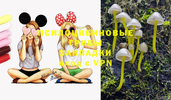 спайс Липки