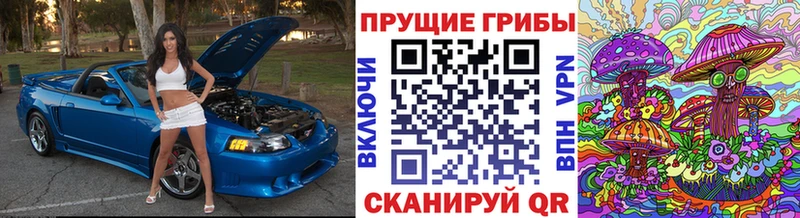 Галлюциногенные грибы Magic Shrooms  ссылка на мегу зеркало  Пойковский 